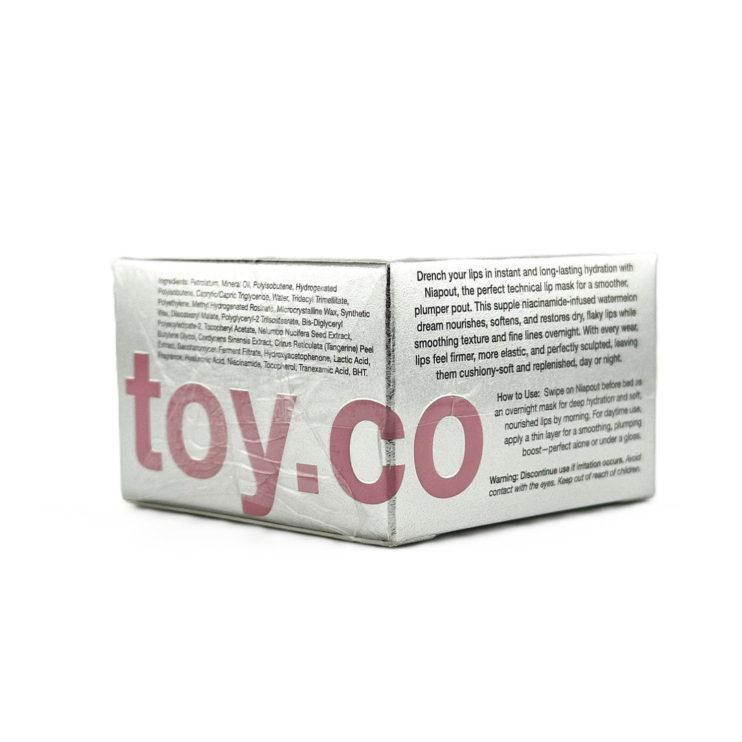 Toyfactory Niapout Niacinamide Lip Mask Watermelon Whip – 20 g | NEW – Cosmetics | Glam Command